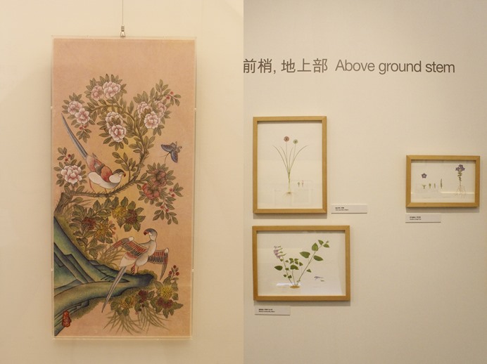 민화, 세밀화 및 예술작품