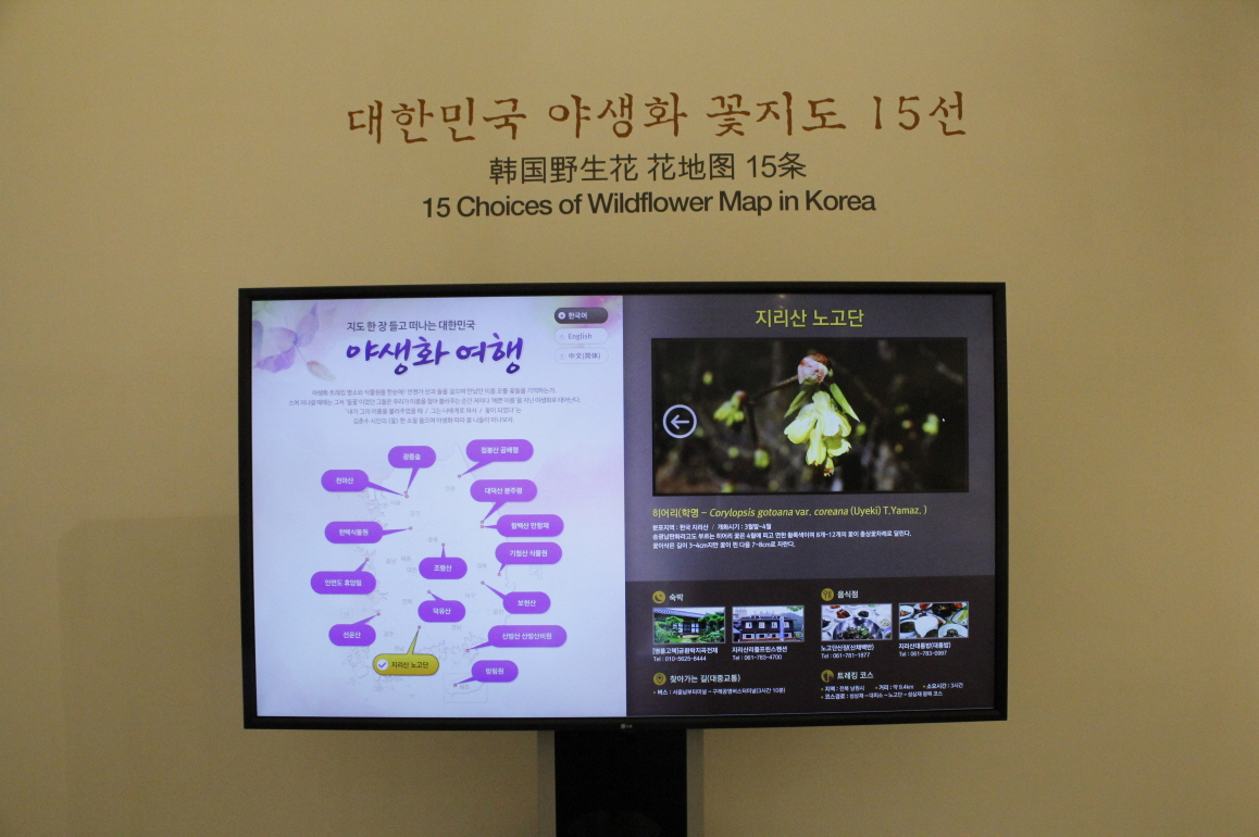 야생화 명소
