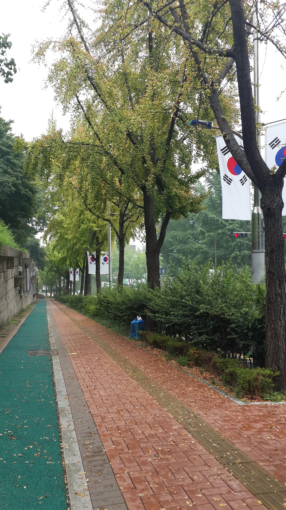 국립극장으로 가는 길. 태극기가 걸려 있다.
