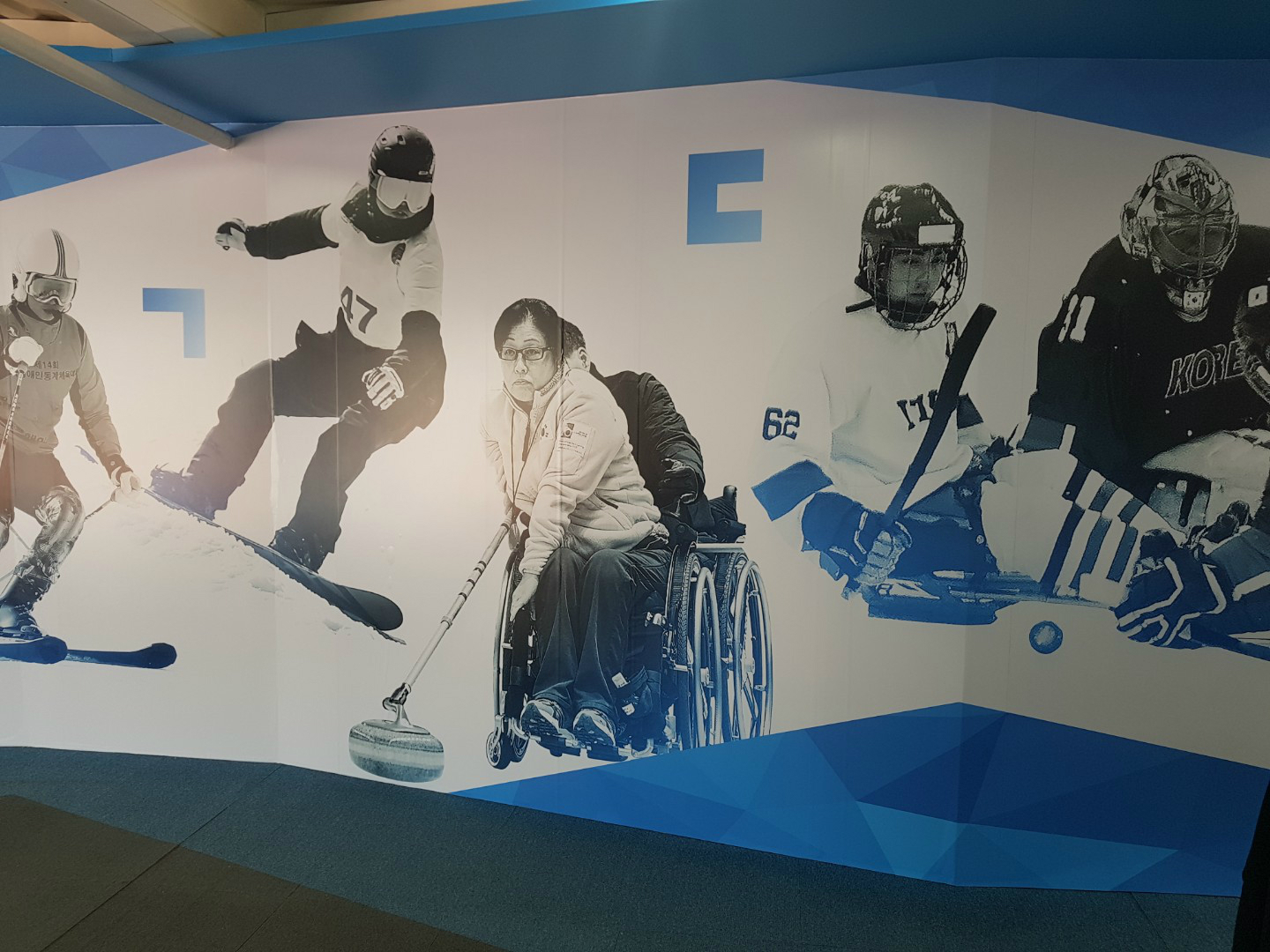 패럴림픽 국가대표 선수