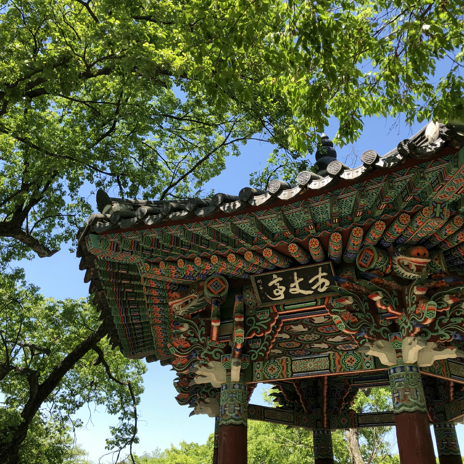 방장정