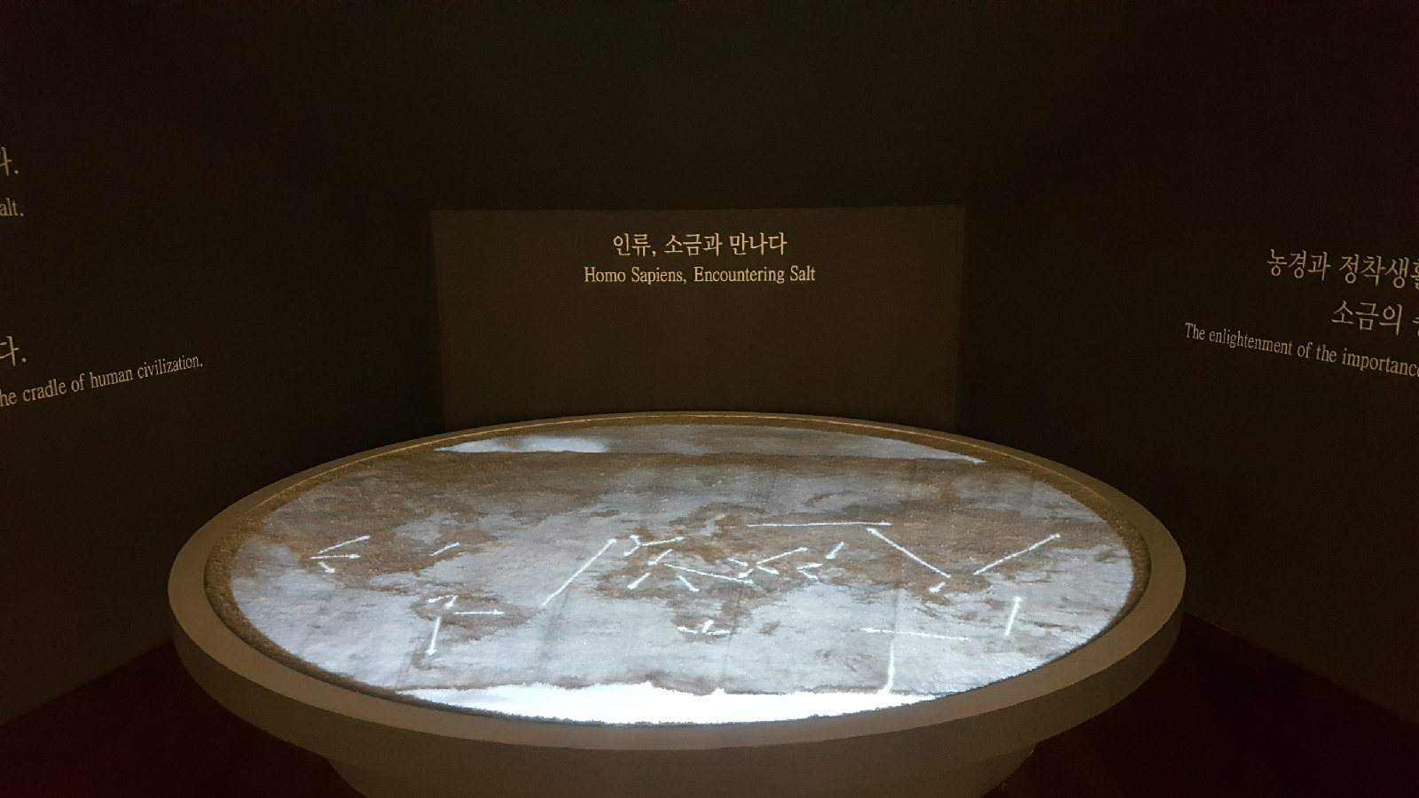 호모 소금 사피엔스 전시 프롤로그 영상 작품