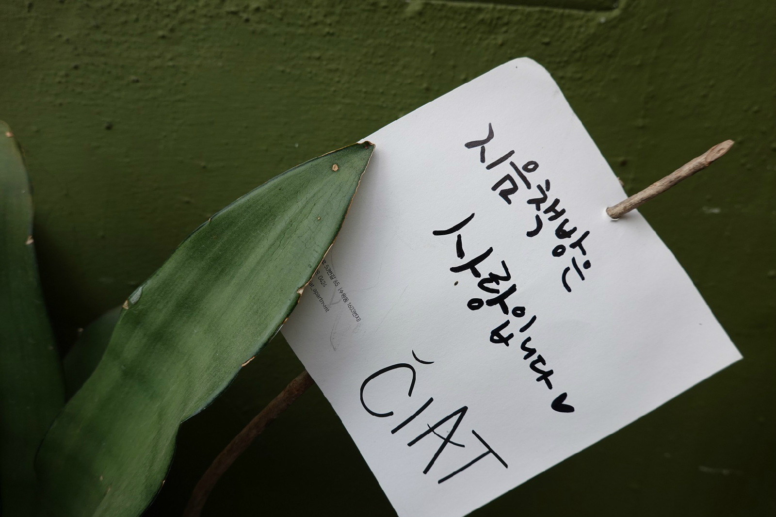 ‘타인의 책 지음 책방’의 화분에 적힌 쪽지