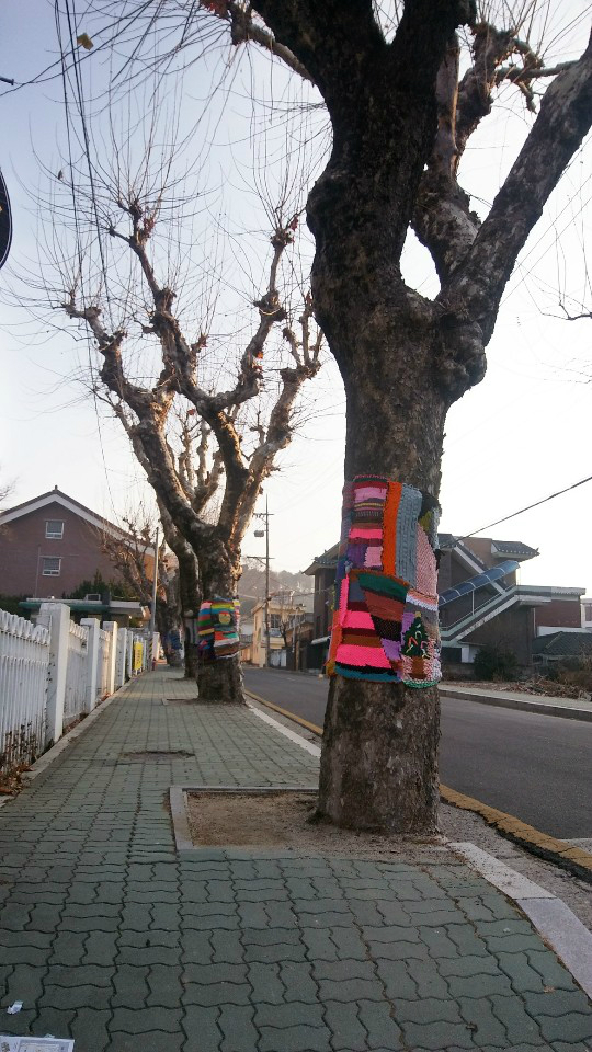 마을 나무 옷 입히기 프로젝트 ‘같이, 가치있게’