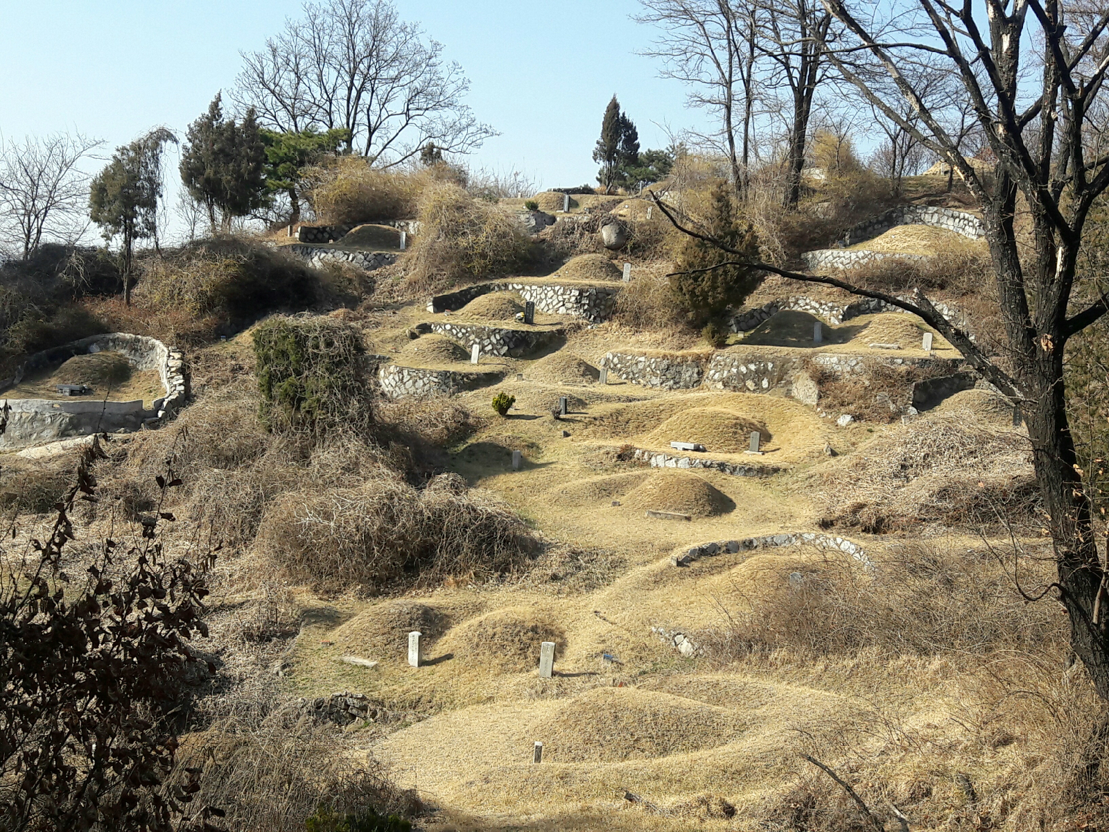 곳곳에 분포한 무덤