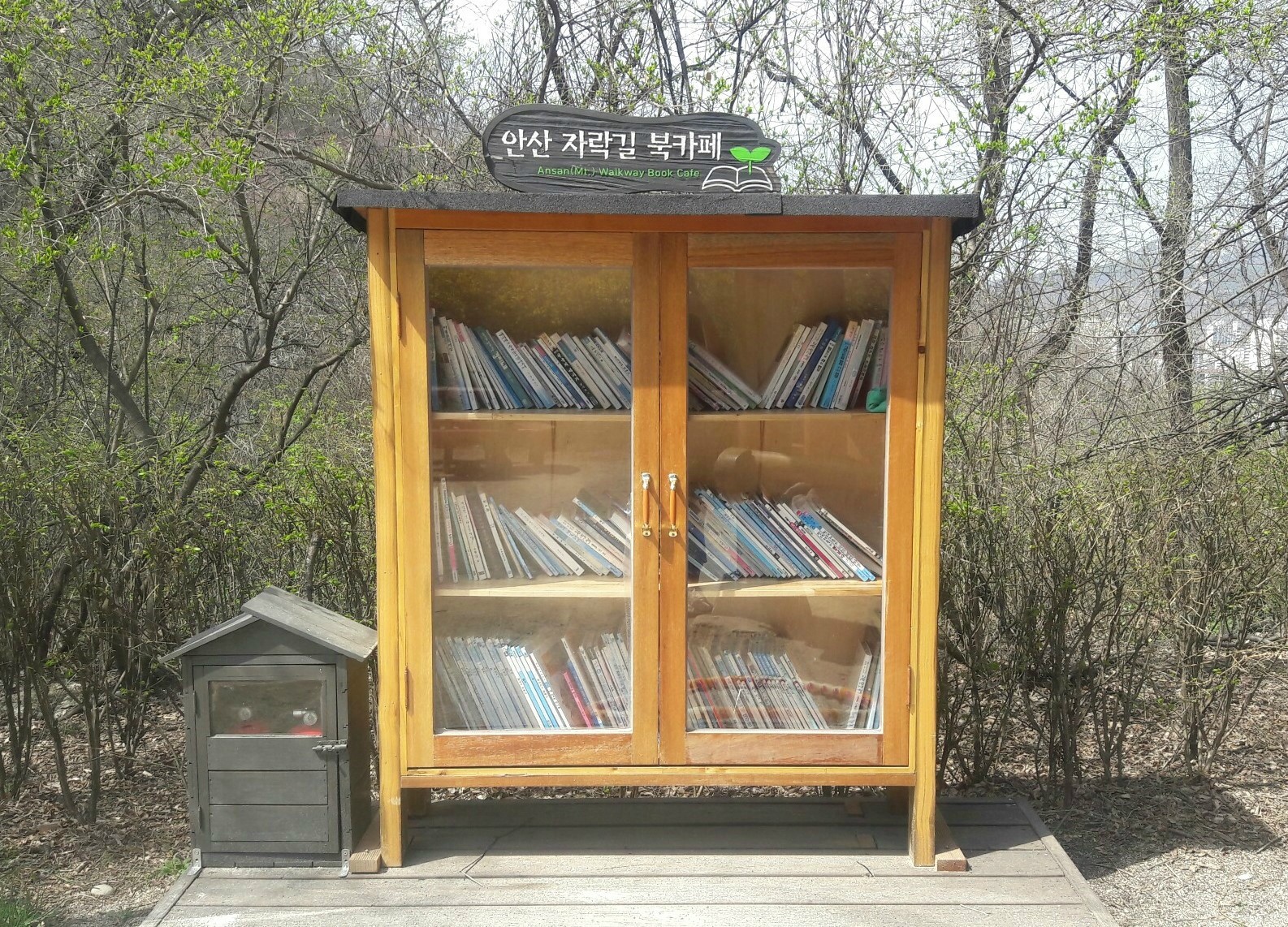 원하는 책을 자유롭게 열람할 수 있는 북카페