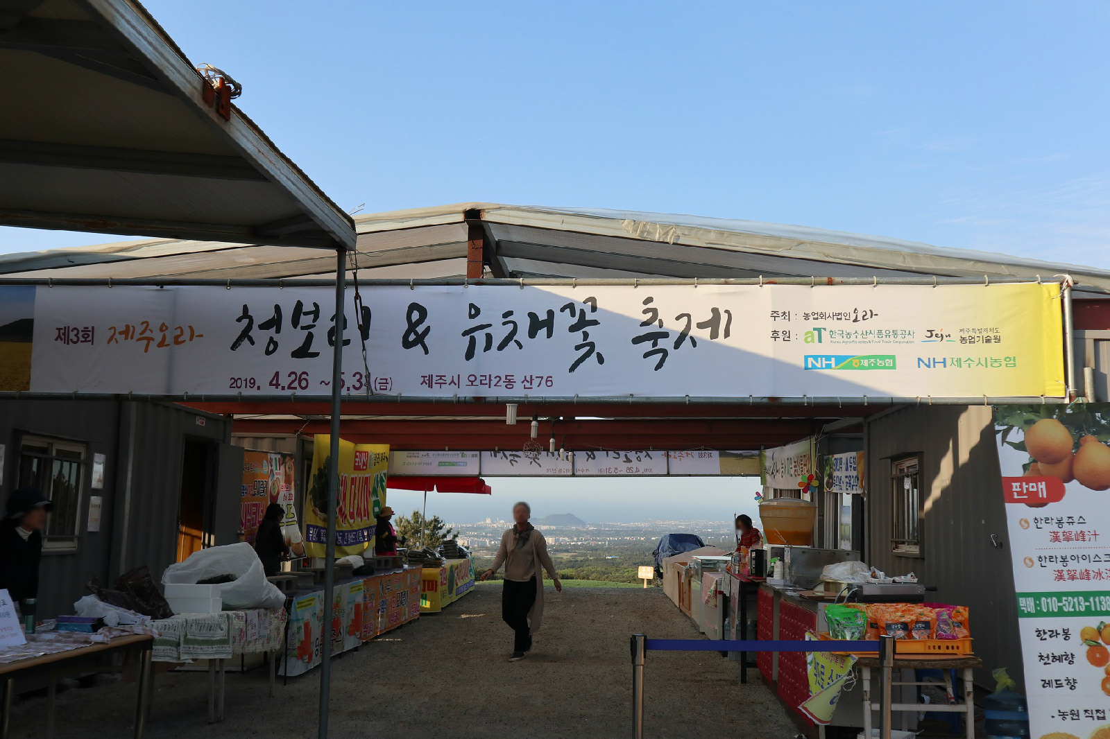 제3회 제주오라 청보리&유채꽃 축제