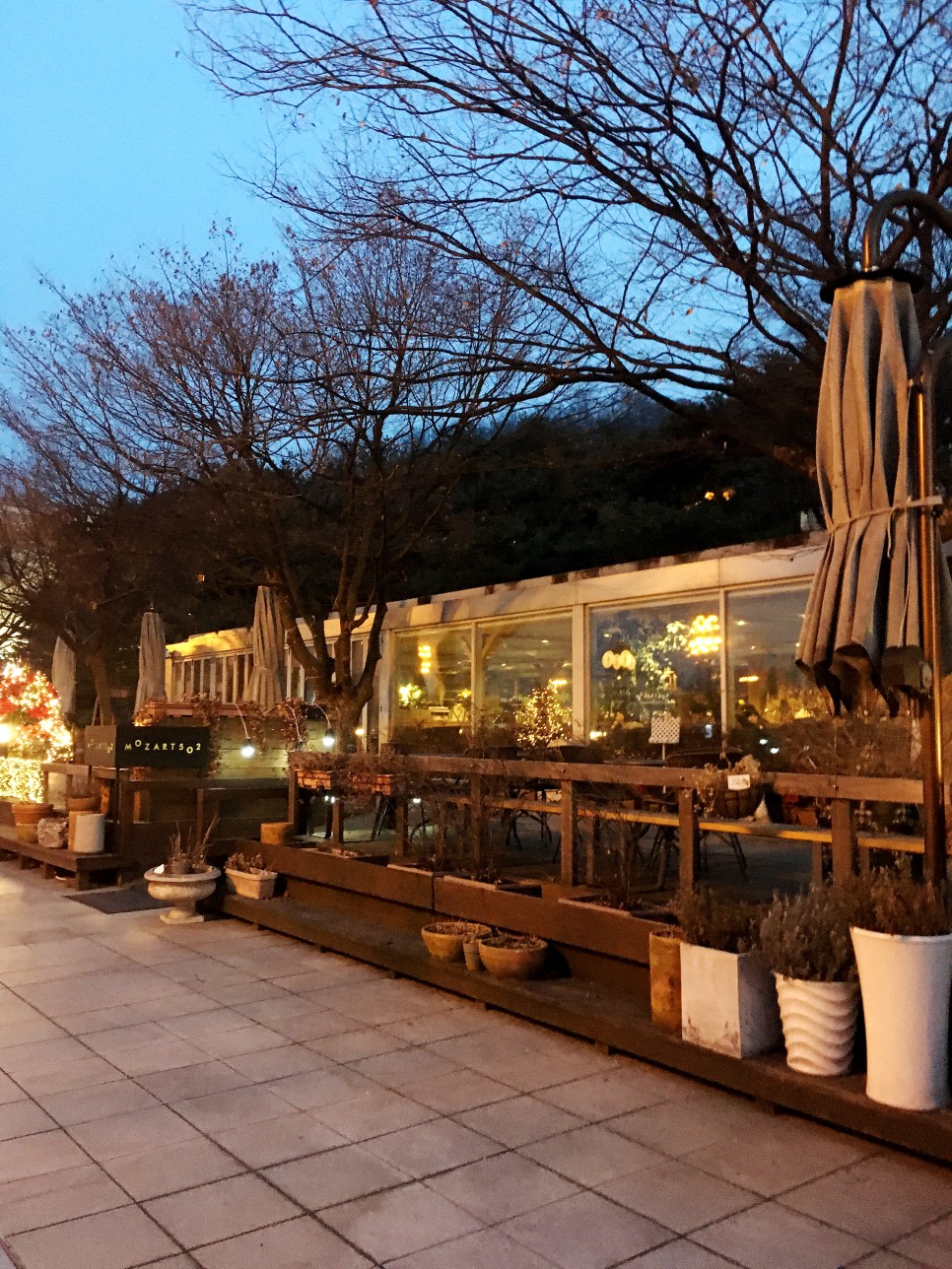 카페 모차르트 502