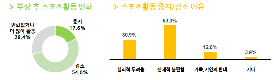 부상 후 스포츠활동변화, 스포츠활동중지/감소 이유