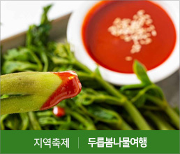 지역축제 | 두릅봄나물여행