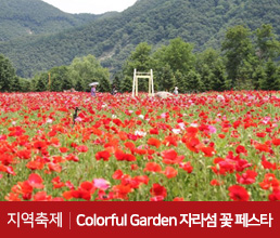 지역축제 | Colorful Garden 자라섬 꽃 페스타