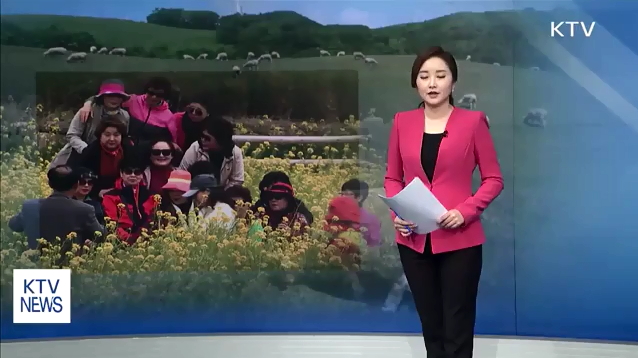 봄 여행주간 주요 관광지 방문객 13% 증가 동영상 보기