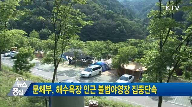 문체부, 해수욕장 인근 불법야영장 집중단속 동영상 보기