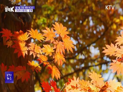 올가을 단풍 여행 어디로?···2026 단풍지도 공개 관련 이미지