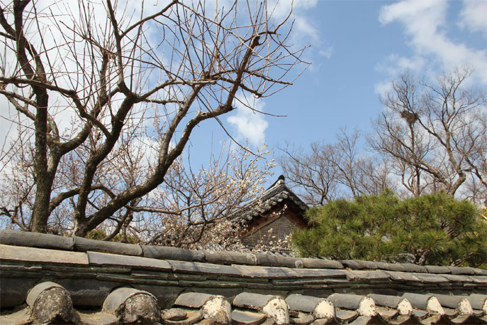 [한국의 보물을 마음에 담다 ②] 세계문화유산이 살아 숨쉬는 안동에 가다