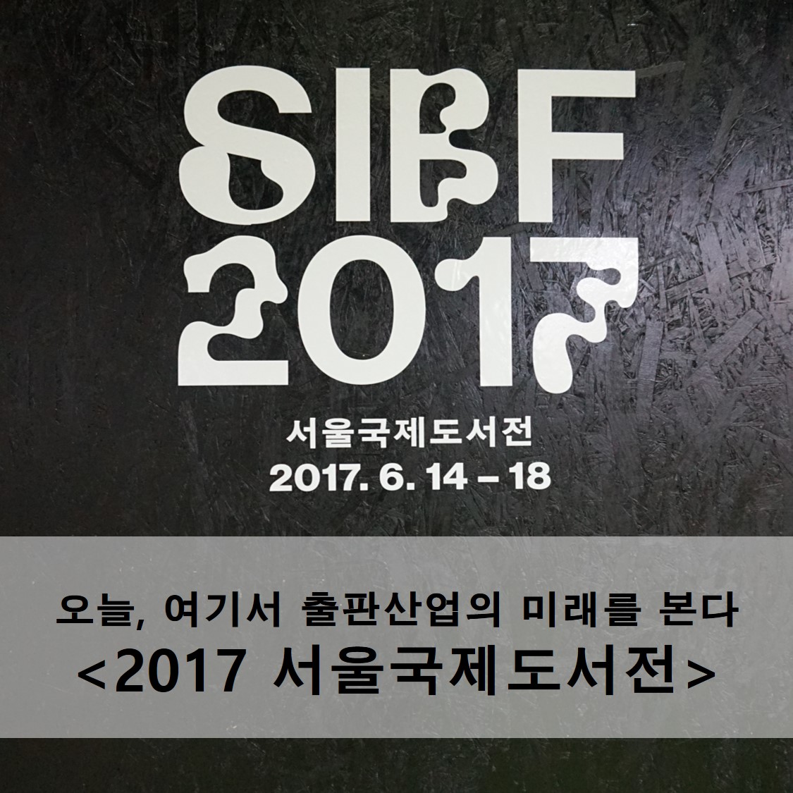 오늘, 여기서 출판산업의 미래를 본다 <2017 서울국제도서전>