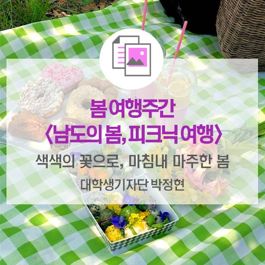 색색의 꽃으로, 마침내 마주한 봄_2019 봄 여행주간 <남도의 봄, 피크닉 여행>