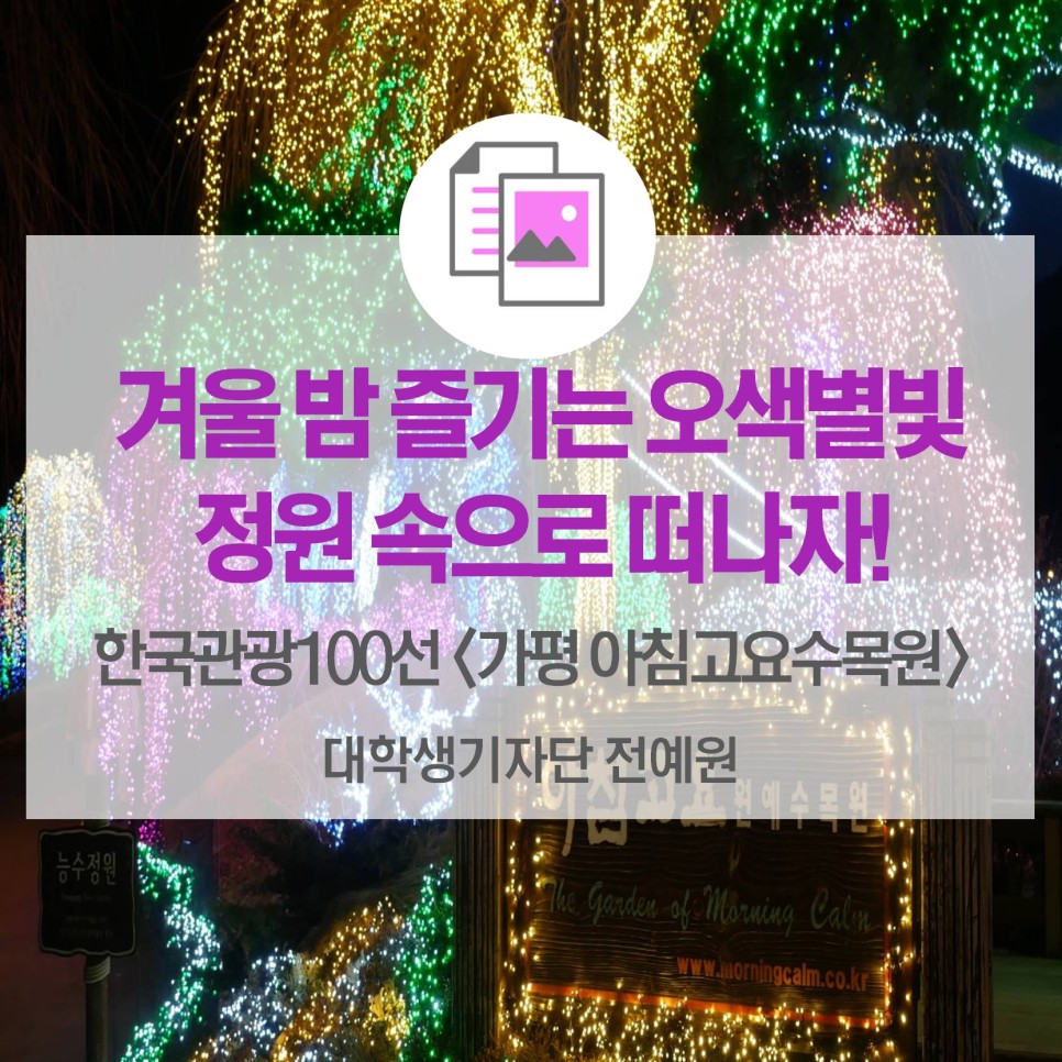 겨울밤 즐기는 오색별빛정원 속으로 떠나자 <한국관광 100선 가평 아침고요수목원>