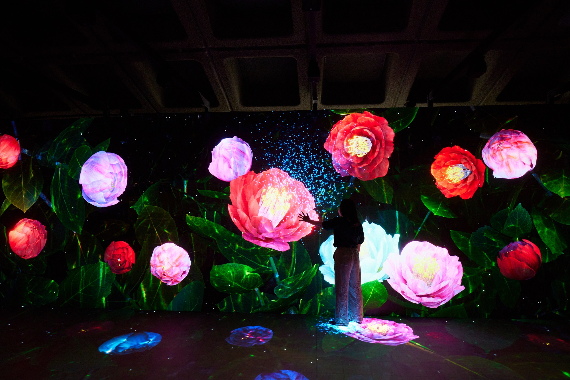 그림입니다. 원본 그림의 이름: 4.워터가든(Water Garden).jpg 원본 그림의 크기: 가로 2000pixel, 세로 1333pixel 카메라 제조 업체 : Canon 카메라 모델 : Canon EOS R5 프로그램 이름 : Capture One 21 Windows F-스톱 : 4.0 노출 시간 : 1/125초 IOS 감도 : 4000 노출 모드 : 수동 화이트 밸런스 : 자동 프로그램 노출 : 메뉴얼 노출 제어 모드 측광 모드 : 평가 측광 EXIF 버전 : 0230