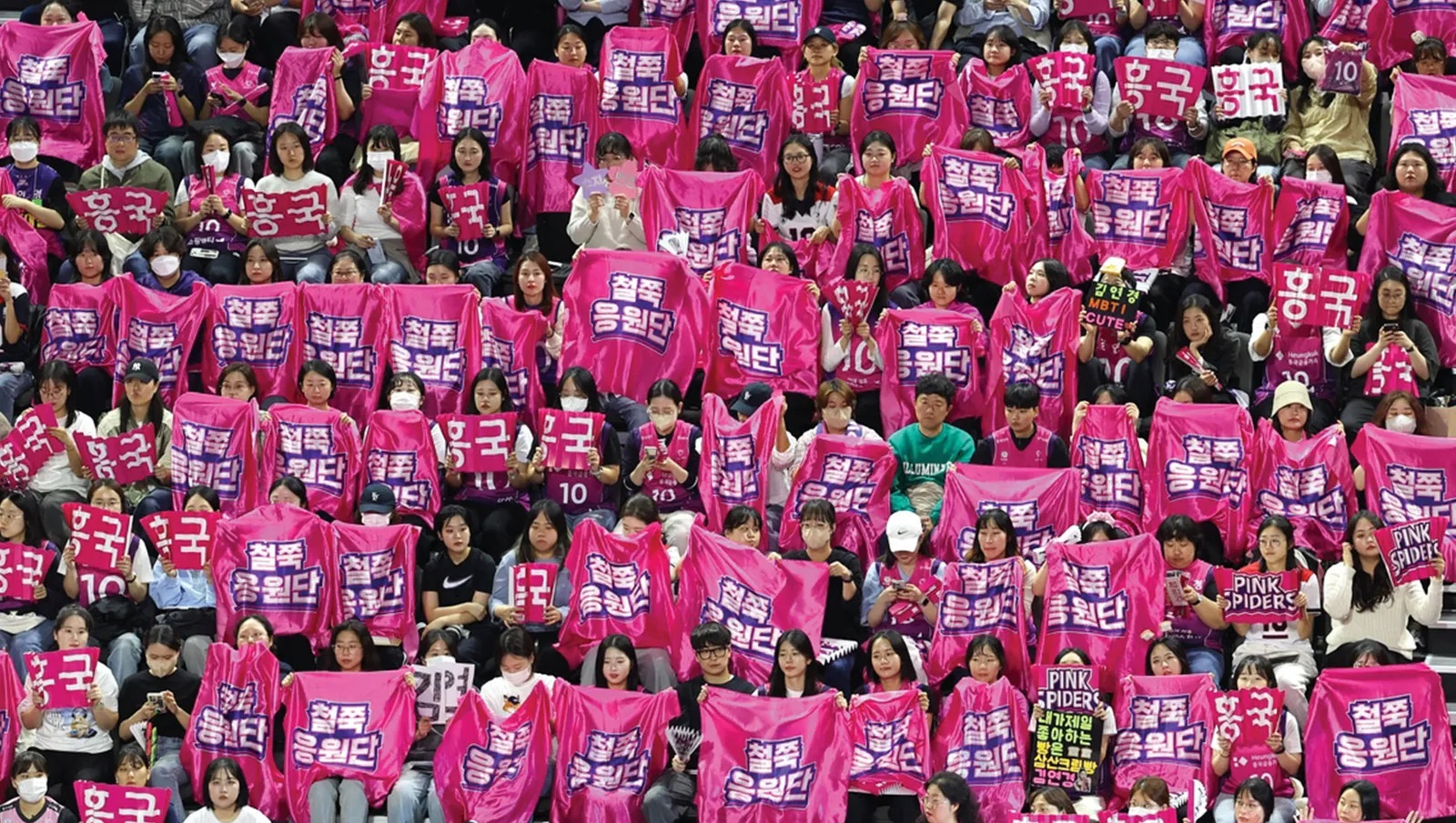 Fans cheer on the Incheon Heungkuk Life Pink Spiders volleyball team