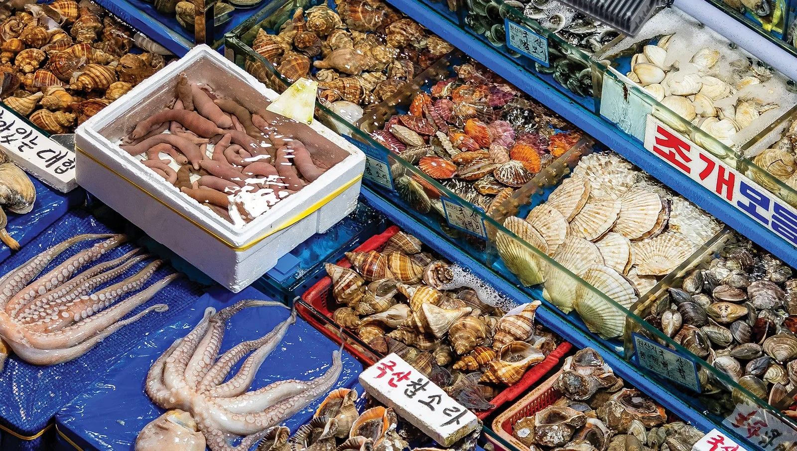 Noryangjin Fisheries Wholesale Market