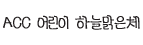 ACC어린이하늘맑은체